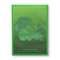 Pokémon Simplified Chinese 2025 Premium Matt 151 Gift Box Individual Card Sleeve
